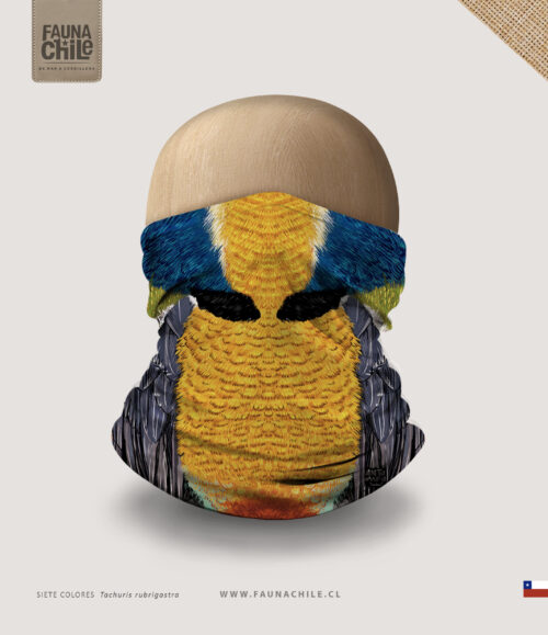 Bandana Siete colores