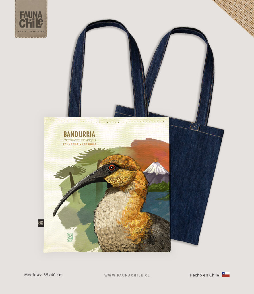 Bolso Bandurria