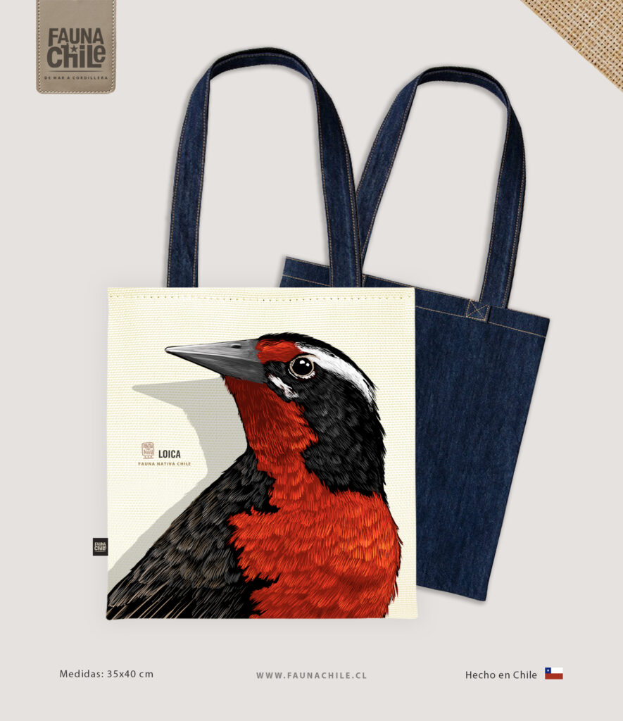 Bolso Loica II