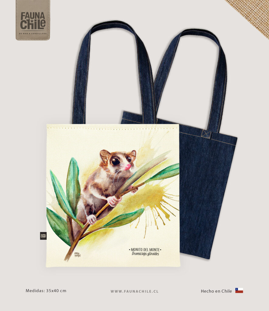 Bolso Monito del monte
