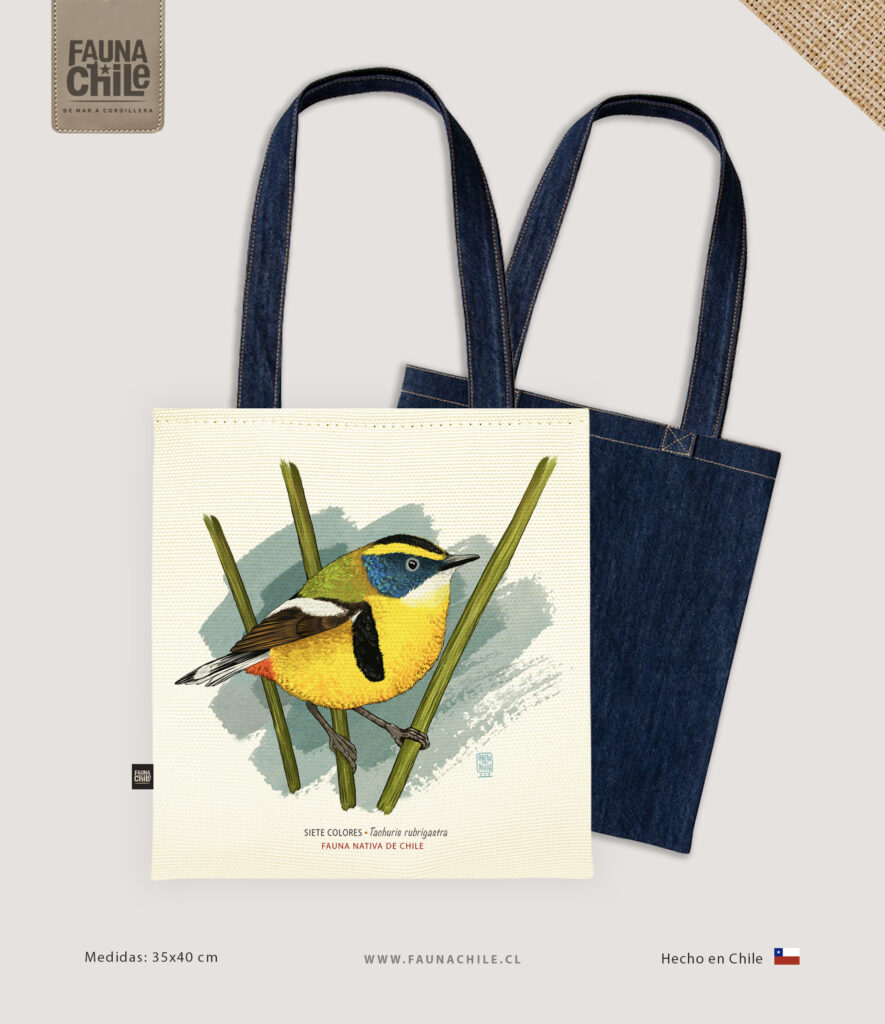 Bolso Siete colores I