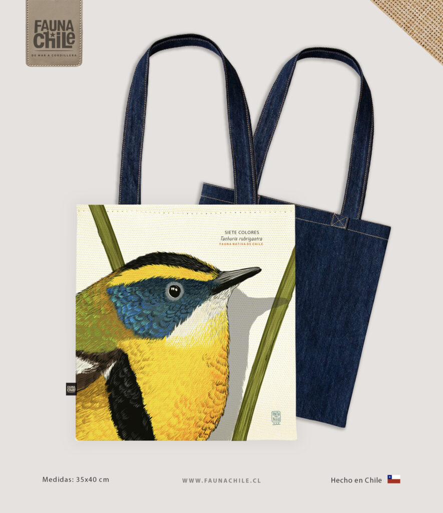Bolso Siete colores II