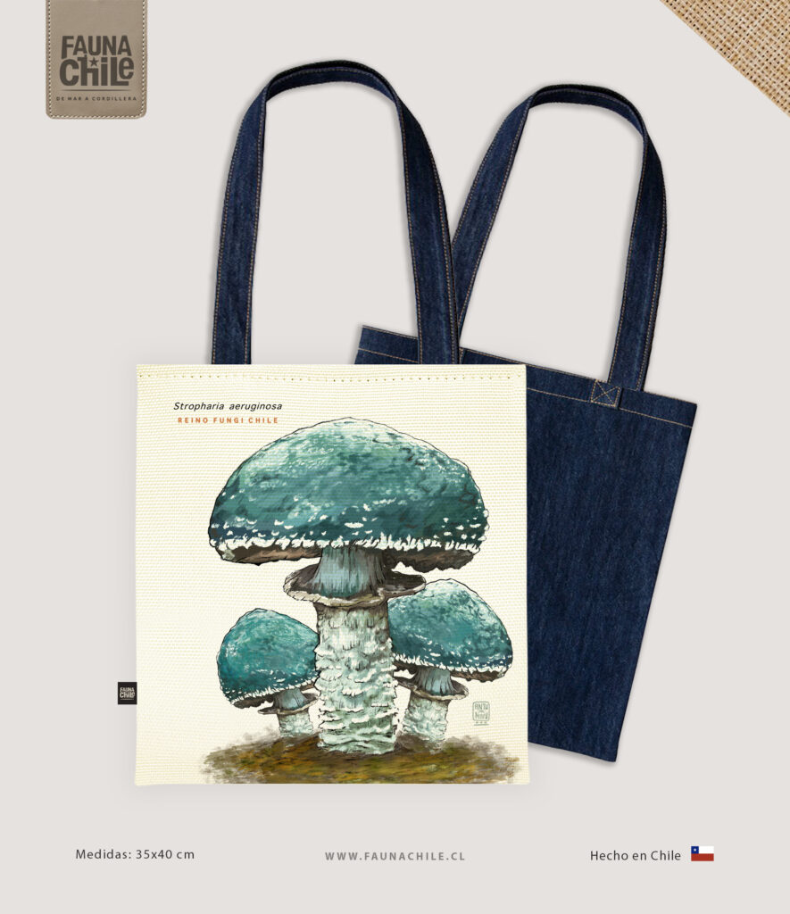 Bolso Stropharia aeruginosa