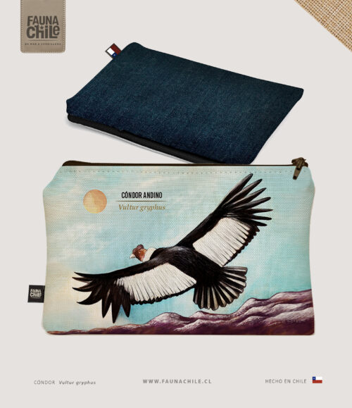 Estuche Cóndor
