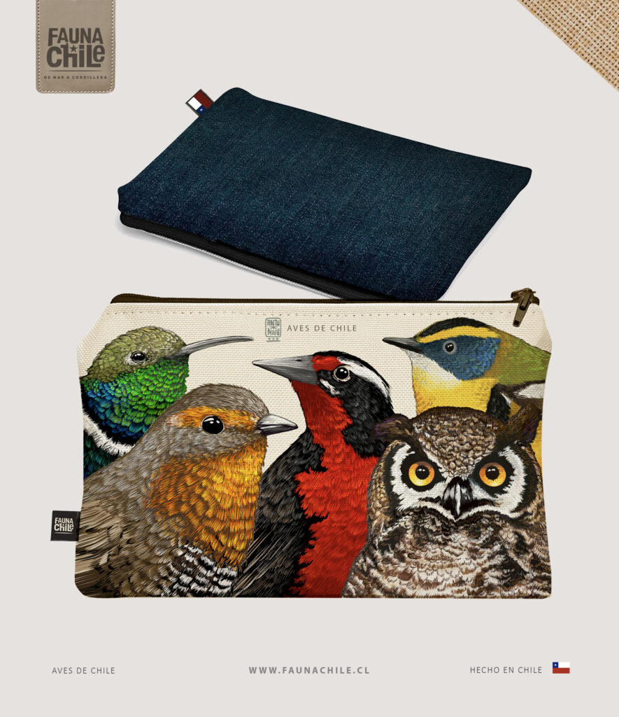 Estuche Aves de Chile