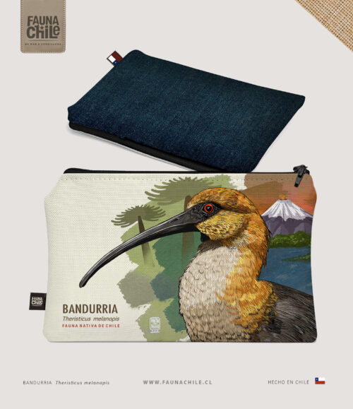 Estuche Bandurria