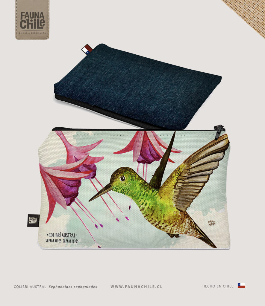 Estuche Colibrí austral