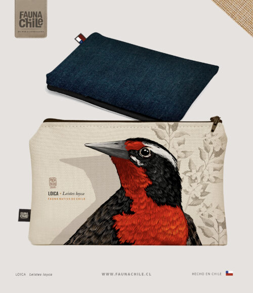 Estuche Loica II