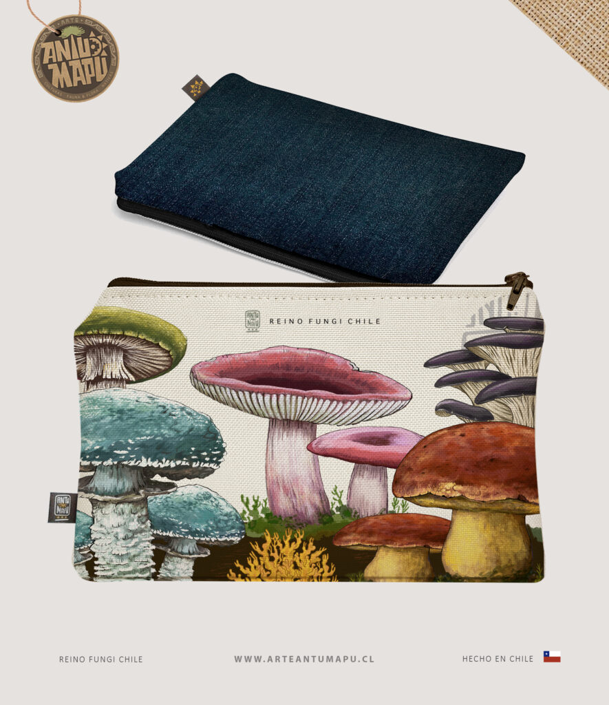 Estuche Reino Fungi Chile
