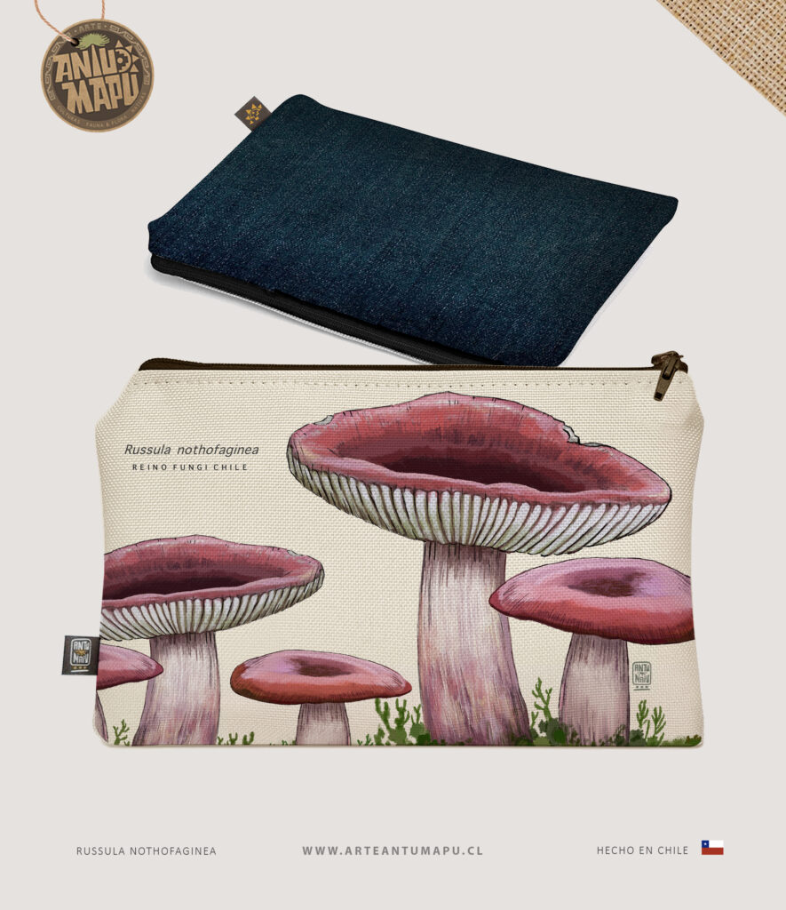 Estuche Russula nothofaginea