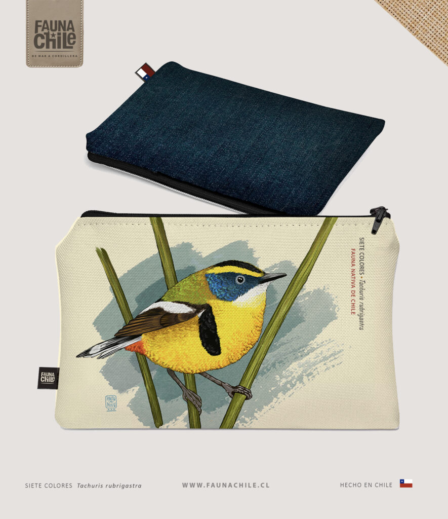 Estuche Siete colores I