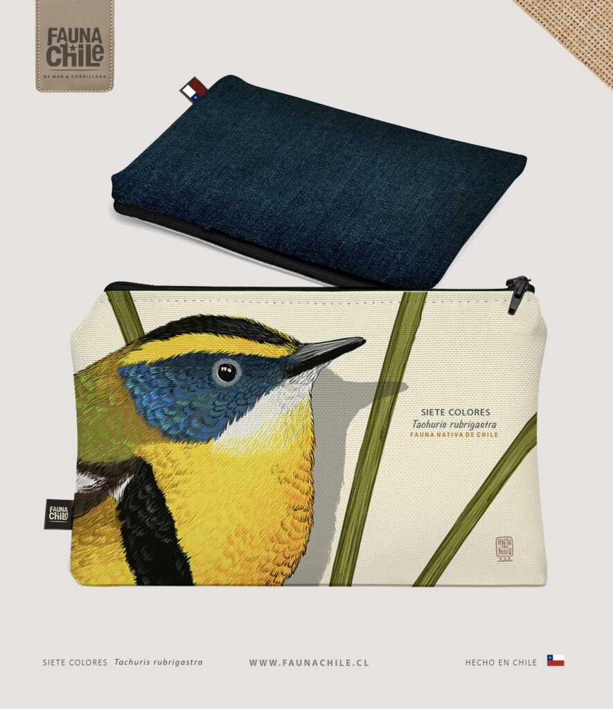 Estuche Siete colores II