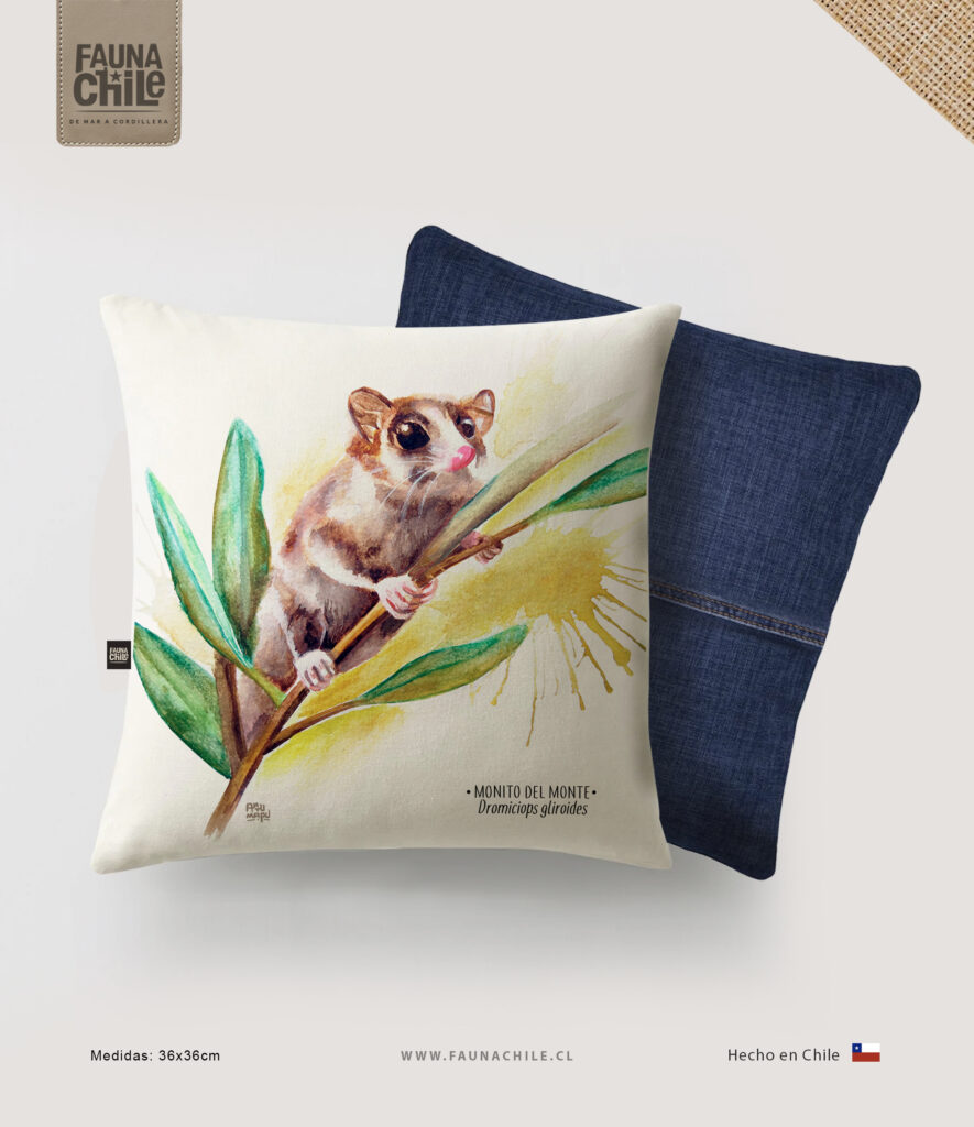 Funda Monito del monte