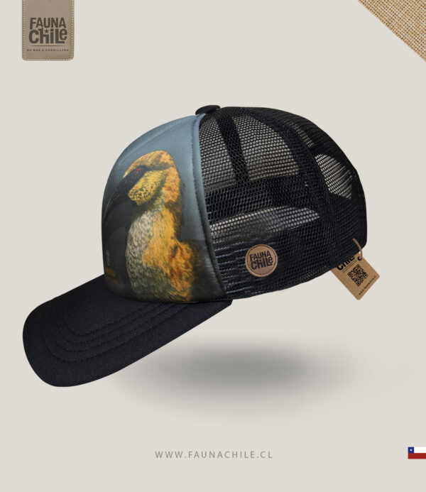 Gorro Bandurria
