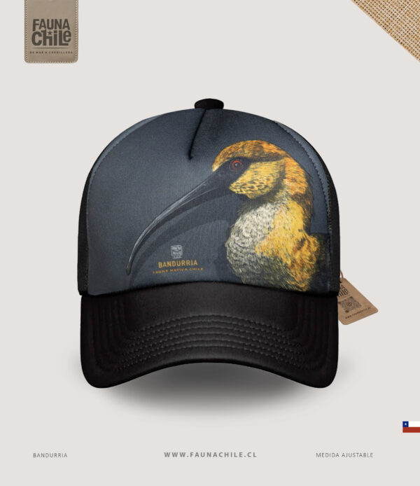 Gorro Bandurria