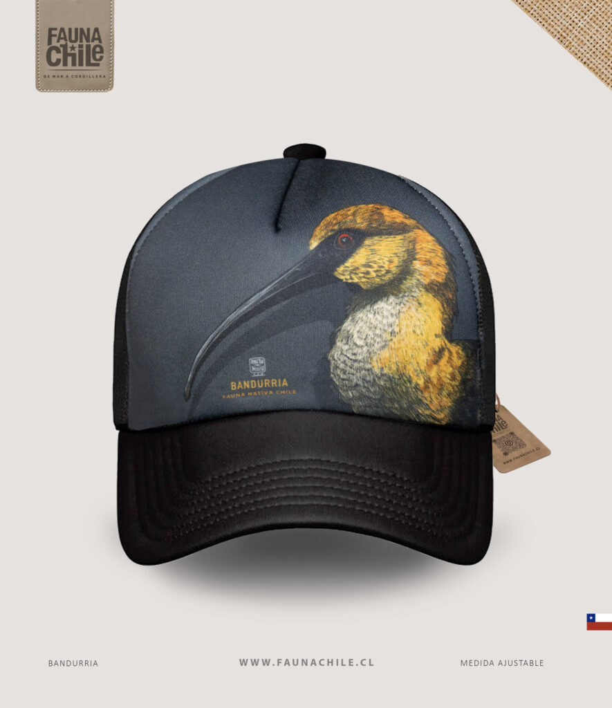 Gorro Bandurria