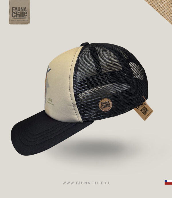 Gorro Chucao