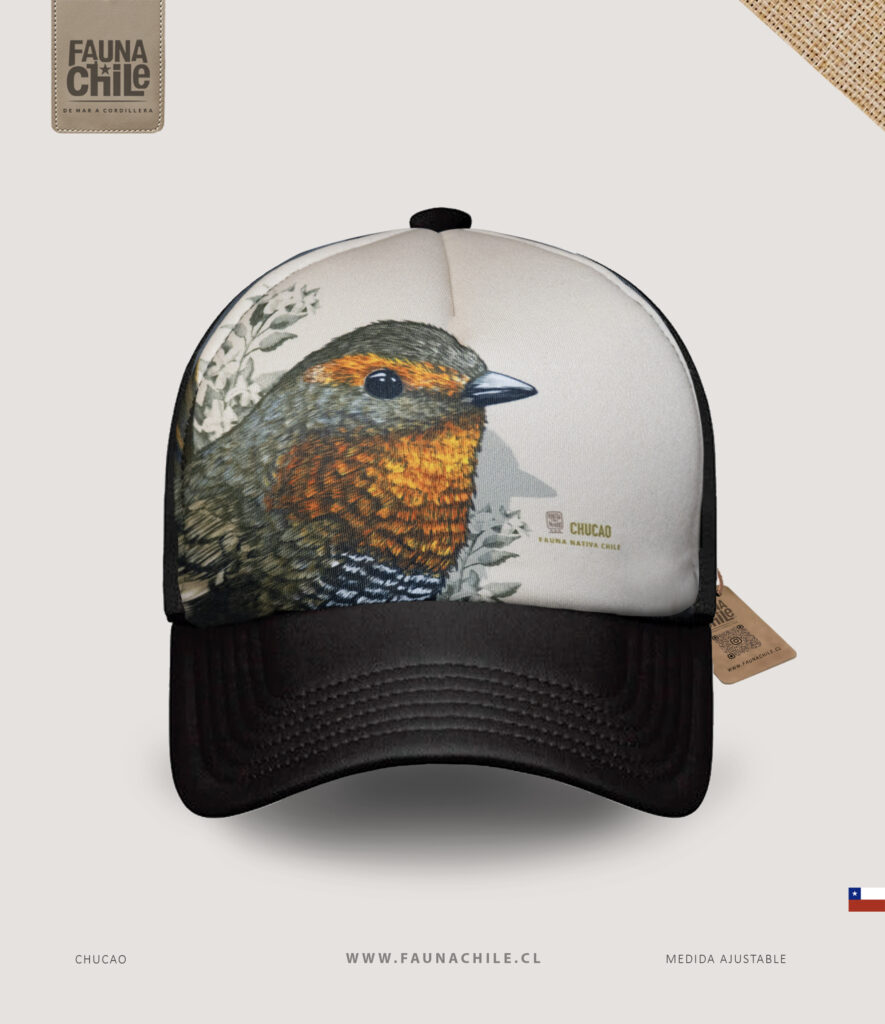 Gorro Chucao