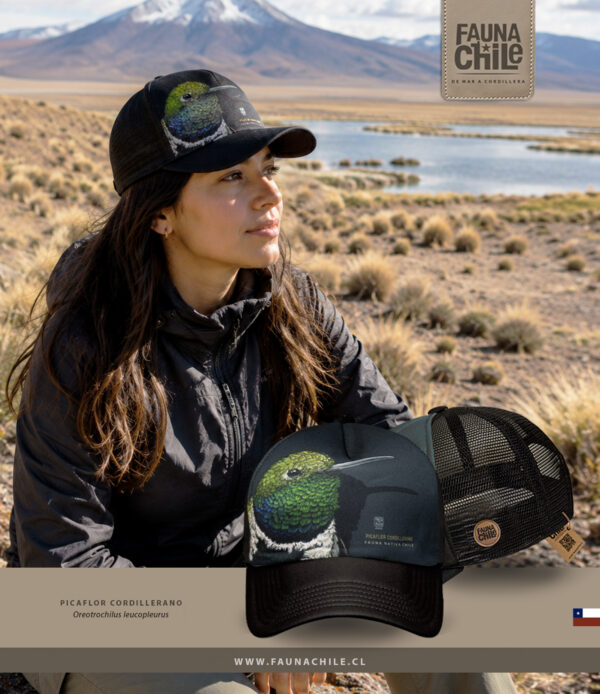 Gorro Picaflor cordillerano