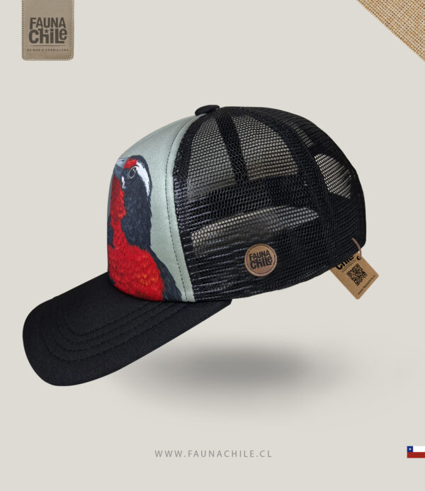 Gorro Loica