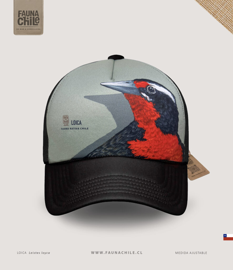Gorro Loica