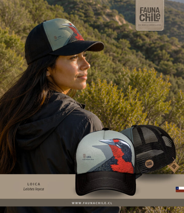Gorro Loica
