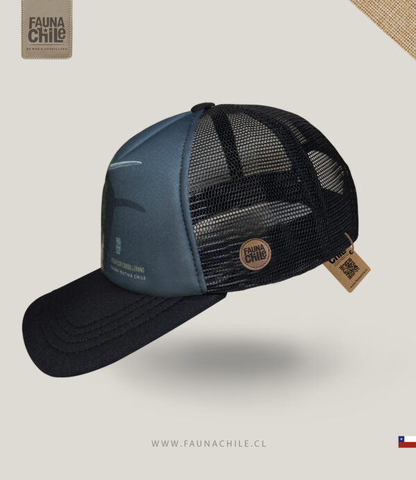 Gorro Picaflor cordillerano