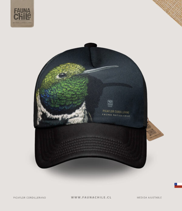 Gorro Picaflor cordillerano