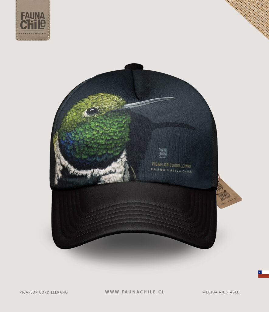 Gorro Picaflor cordillerano