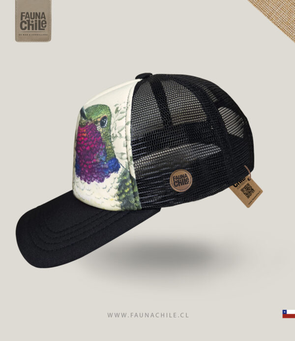 Gorro Picaflor del norte