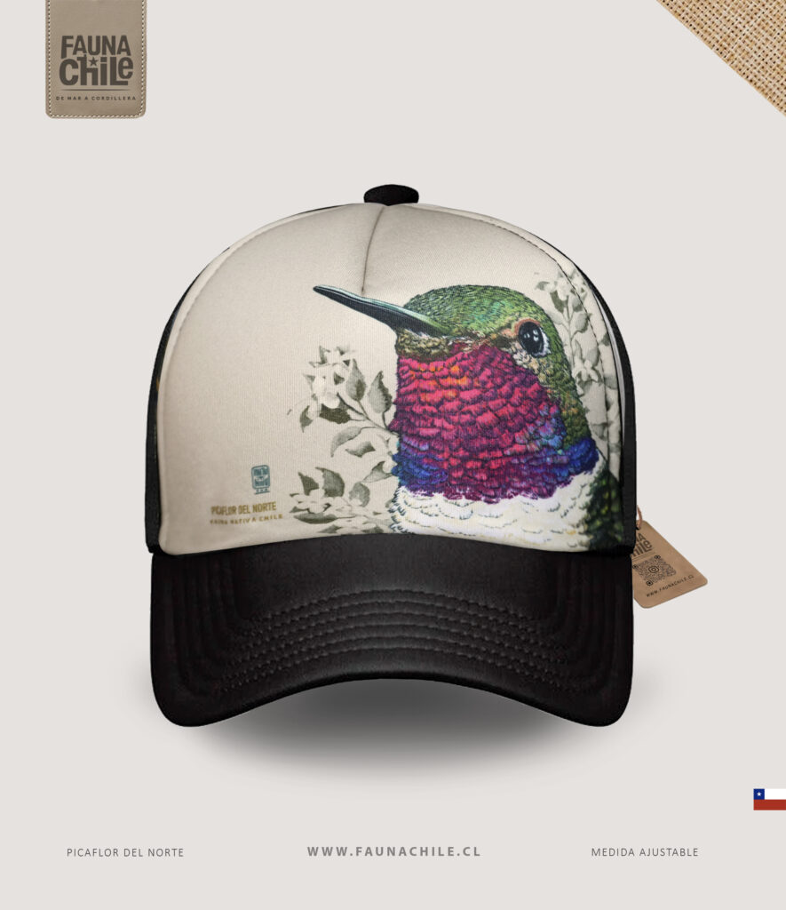 Gorro Picaflor del norte