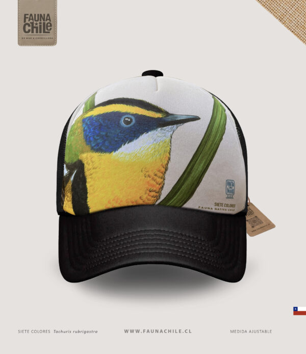 Screenshot Gorro Siete colores