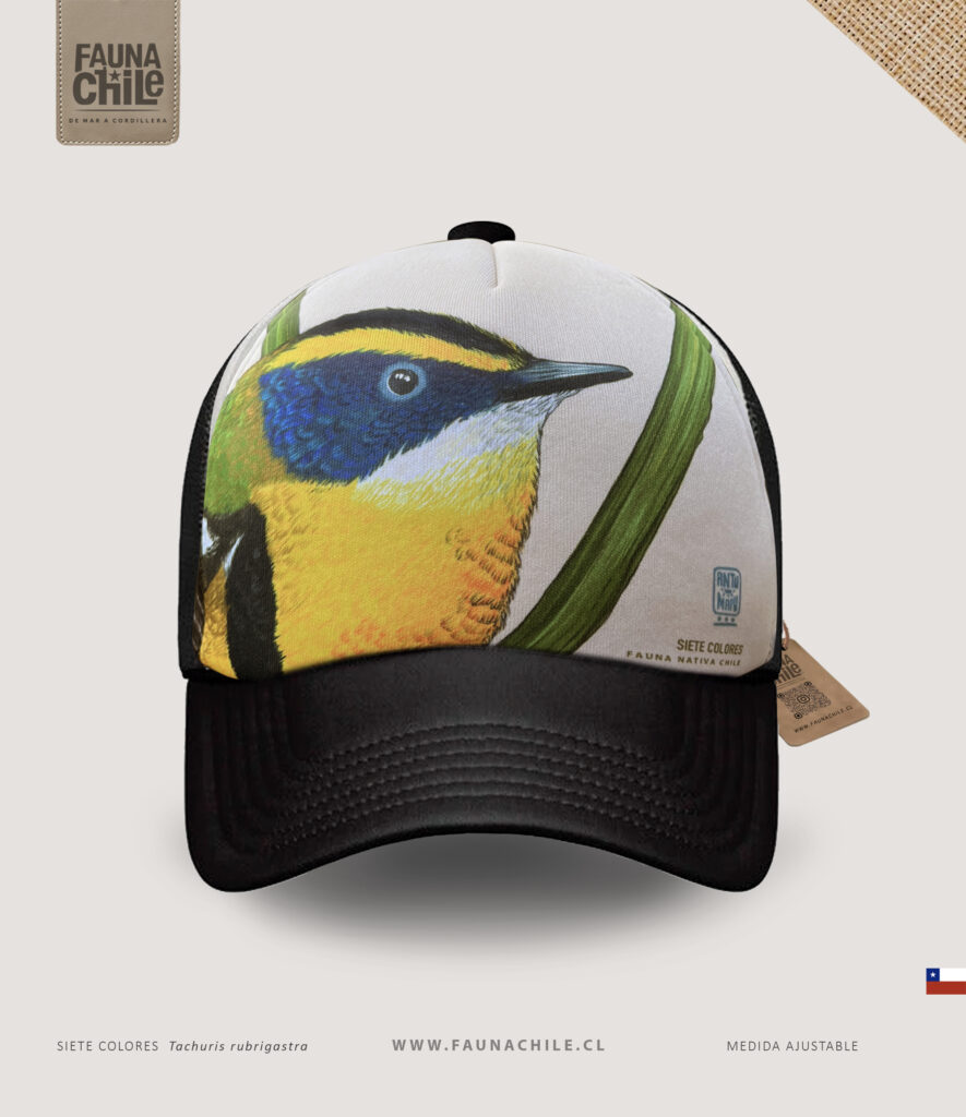 Gorro Siete colores