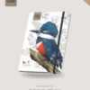 Libreta Martín pescador