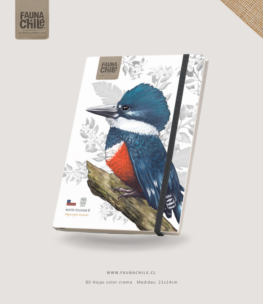 Libreta Martín pescador