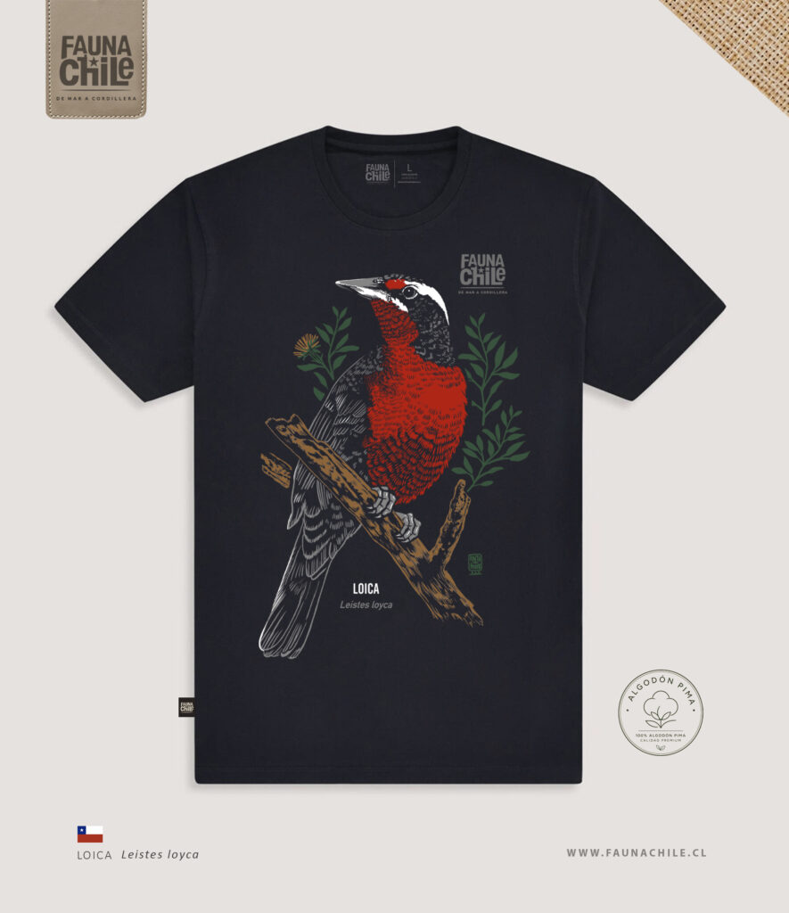 Polera Loica