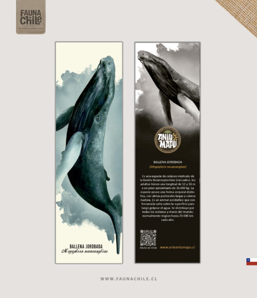 Marcador Ballena jorobada
