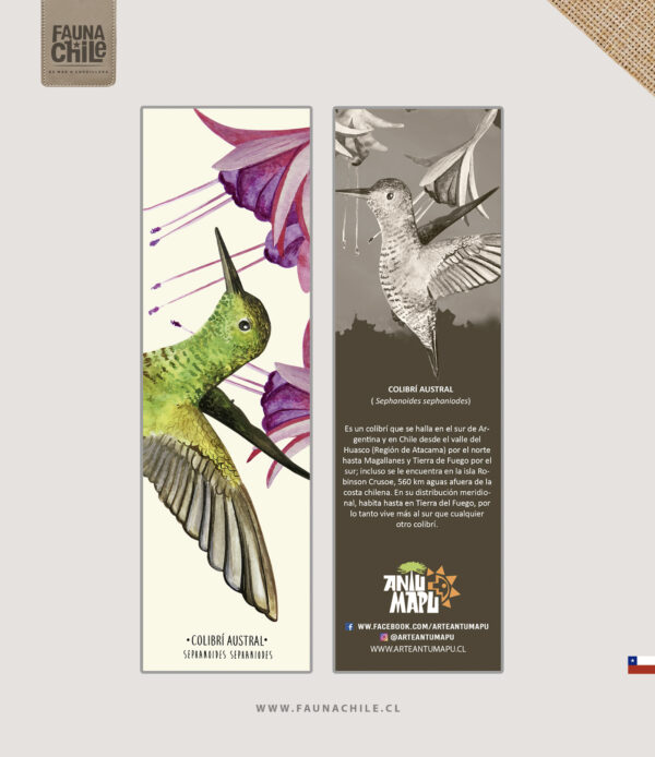 Marcador Colibrí austral