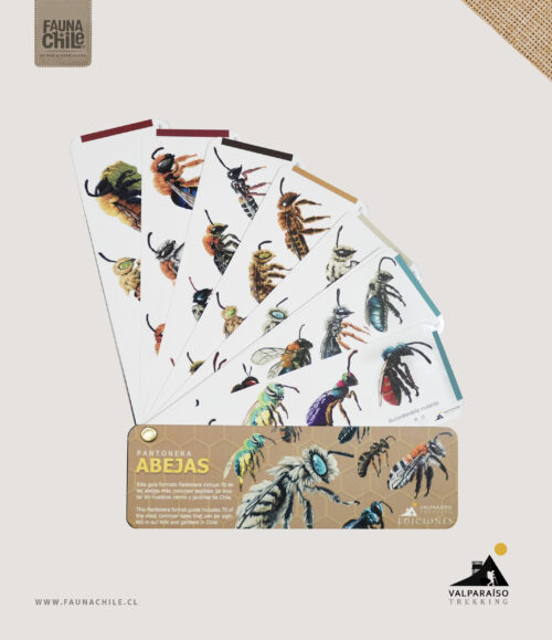 Pantonera Abejas y flores silvestres