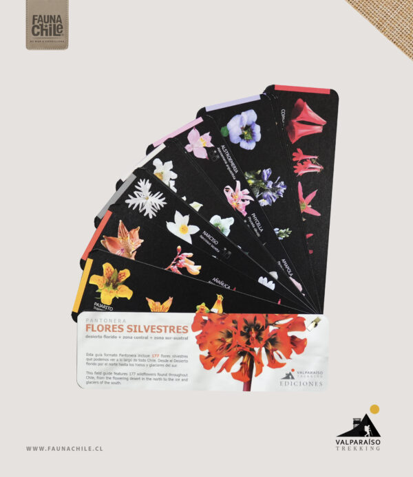 Pantonera Abejas y flores silvestres