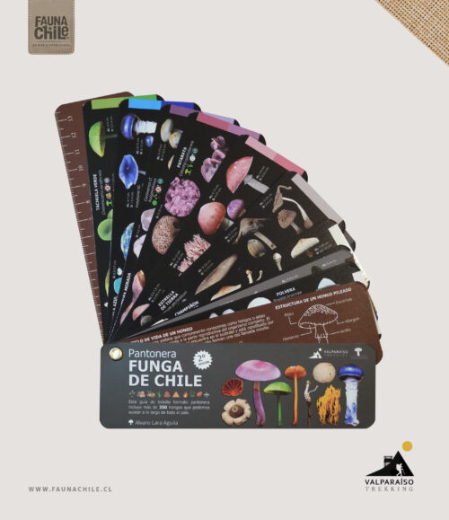 Pantonera Hongos de Chile
