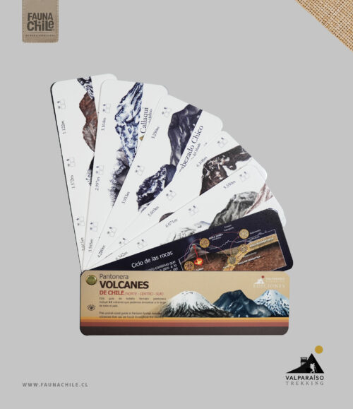Pantonera Volcanes